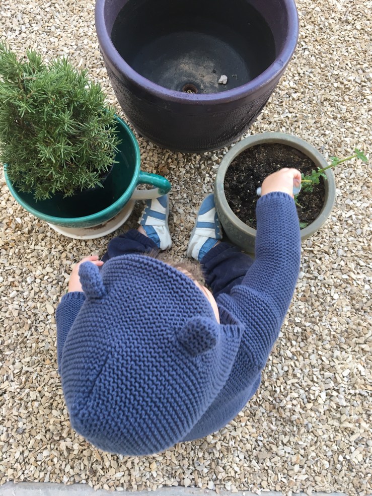 Watering Seeds