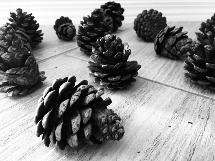 Sweeping Up Pine&nbsp;Cones