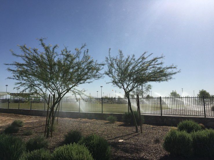 On This Side of the&nbsp;Fence