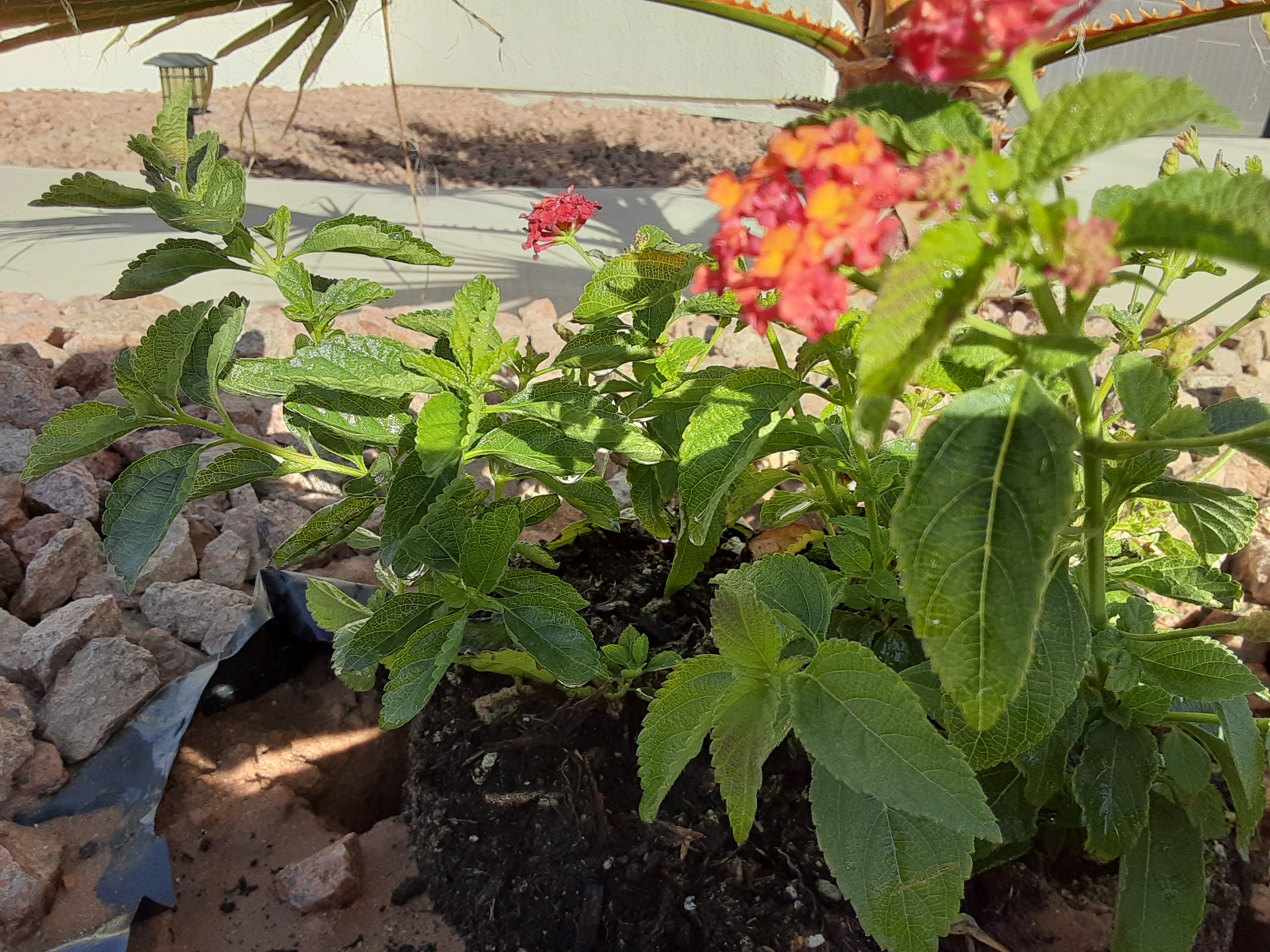 Planting Seeds