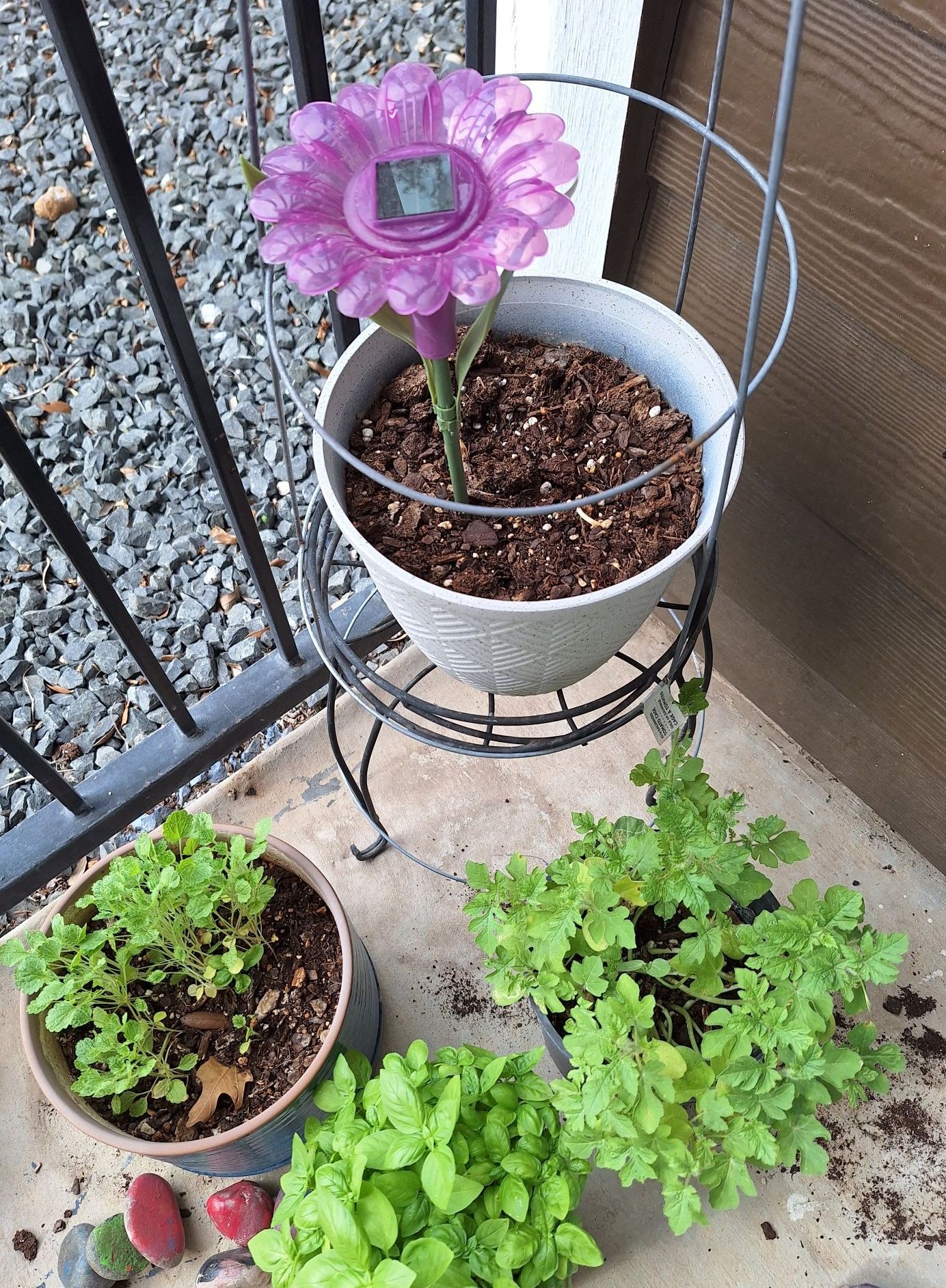 In Season